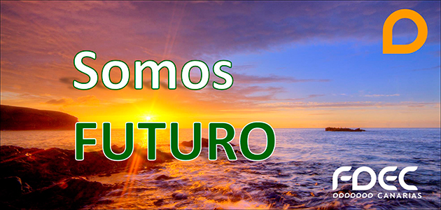 FDEC-banners-08
